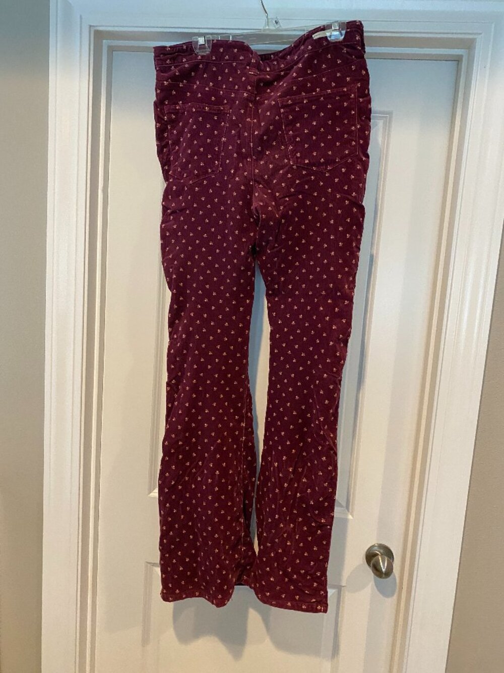 Anthropologie Pilcro and the Letterpress Mauve corduroys size 32